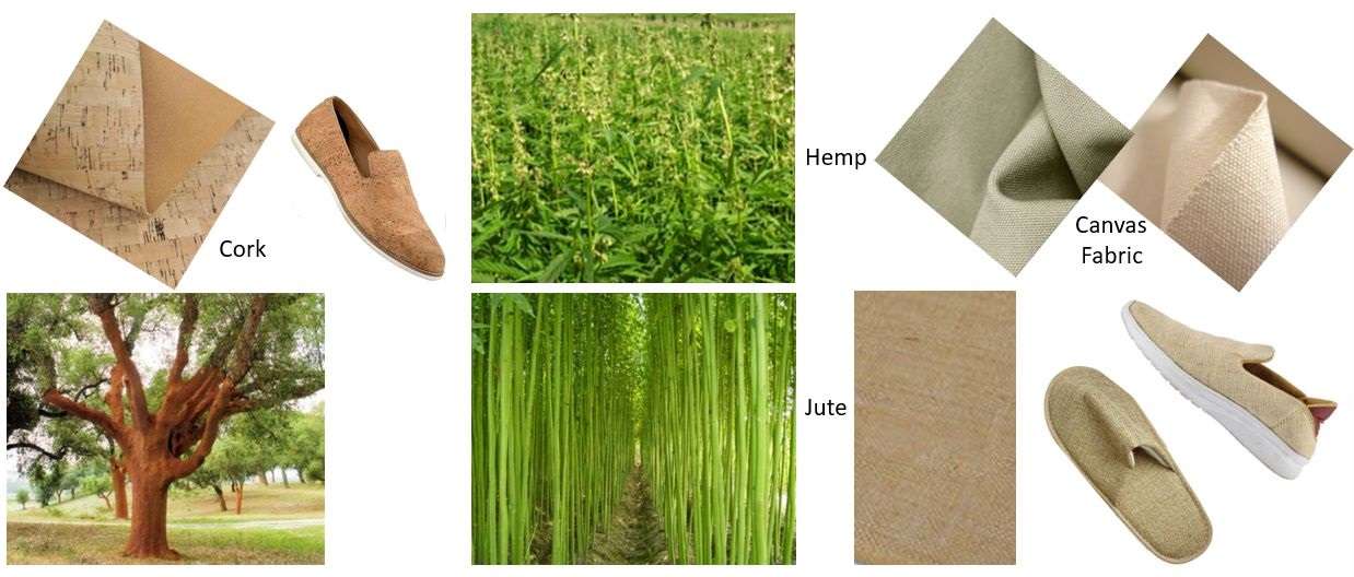 Pinapparel Pvt Ltd Shoes